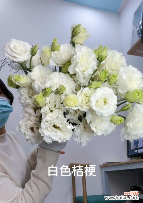 纯洁与坚强的象征，白色桔梗花语解读 白色桔梗花语的含义与传承