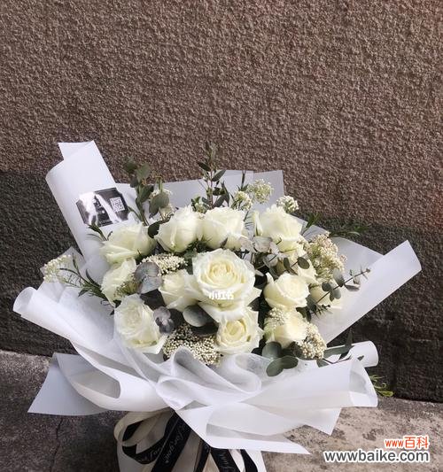 揭示白色玫瑰花的象征意义，白色的华美缔造浪漫情感 白色玫瑰花的寓意