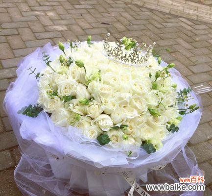 揭示白色玫瑰花的象征意义，白色的华美缔造浪漫情感 白色玫瑰花的寓意