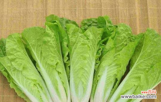 白菜之道 大白菜