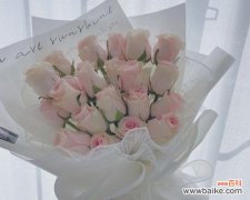 19朵粉玫瑰象征着什么？