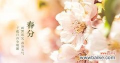 水田花的含义是什么？水田花在自然界中的作用和意义是什么？