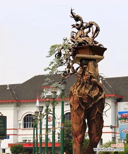 打破枷锁的花有哪些象征？哪些花代表打破枷锁？