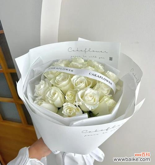 探寻白色玫瑰花的独特魅力,解读花语与传说 白色玫瑰花的象征意义及文化内涵