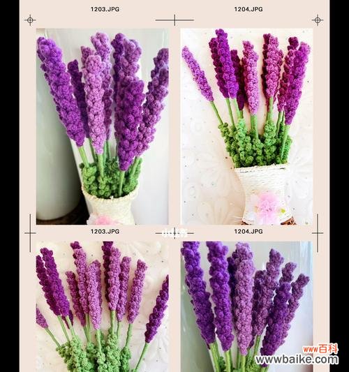 清新美丽的花海，以白色薰衣草为主角 白色薰衣草的花语与寓意