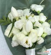 洋桔梗花卉的花语及美丽寓意 白色洋桔梗的寓意与美丽