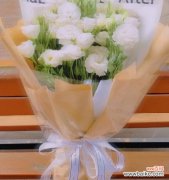 洋桔梗的寓意与象征，探秘白色洋桔梗的花语 白色洋桔梗花语的意义与传承