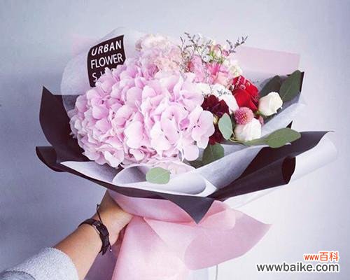 以代表复合的花送什么花 花语与复合之美