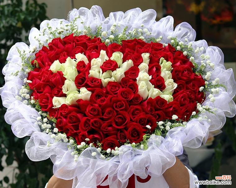 以百合为媒，传递奉献的情感 奉献之花——白色百合的花语