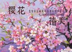 探寻樱花的美丽语言及其象征意义 樱花的花语与代表意义