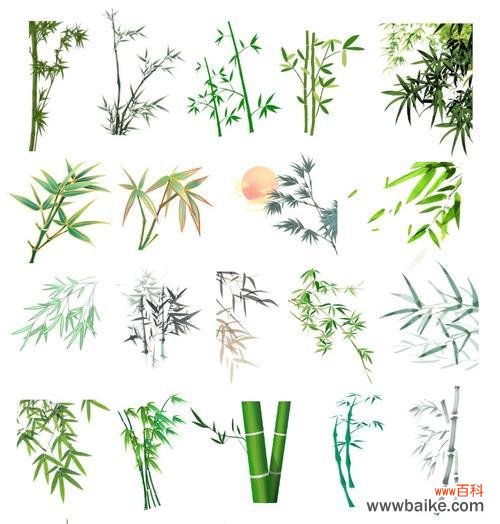 探寻竹子的文化内涵及生活价值 竹子的象征意义