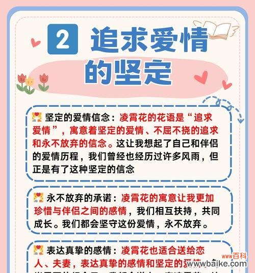 揭示百合花语背后的专一爱情表达方式 以百合花的花语为主题的专一爱情