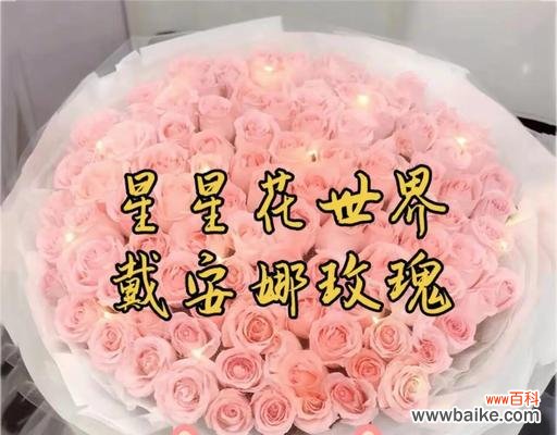 玫瑰花之美 粉色玫瑰花的代表意义及传承