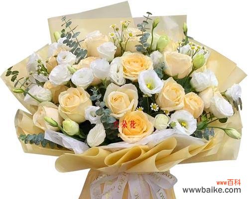 探寻12朵玫瑰花的不同寓意 玫瑰花的花语与意义解读