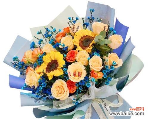 探寻12朵玫瑰花的不同寓意 玫瑰花的花语与意义解读