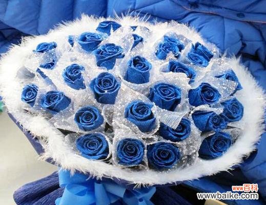 探索神秘的蓝色妖姬，解读其隐藏的象征意义 蓝色妖姬的意义与象征