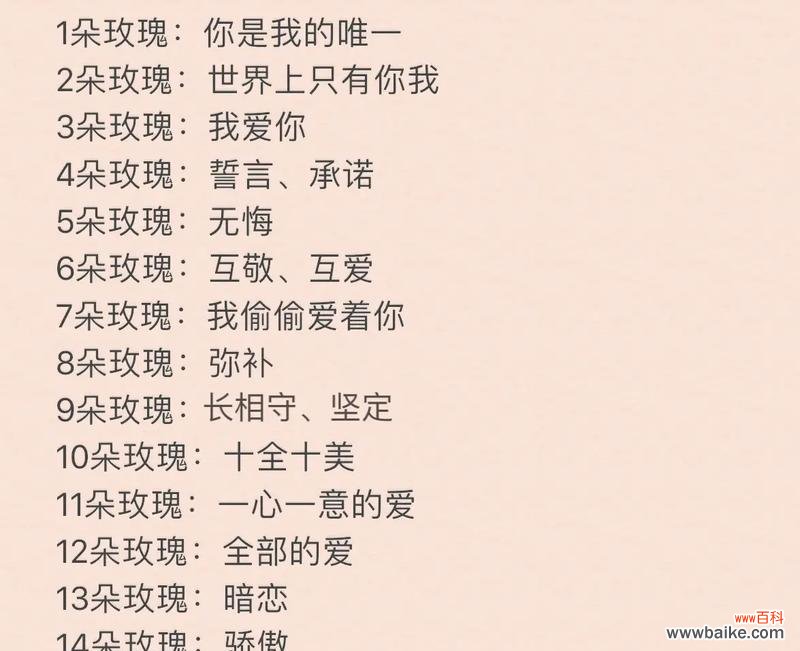 探寻玫瑰花不同颜色所代表的各种含义 玫瑰花色的花语意义大揭秘