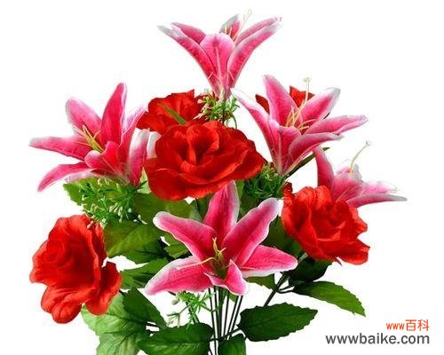 用百合与玫瑰诠释纯洁与爱情，传递美好寓意 百合与玫瑰的相遇