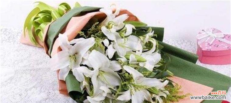 探索百合花语，了解每种百合的寓意 百合花语大全及寓意解读