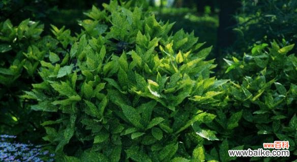 四季更迭间 四季之美