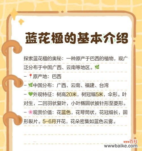 蓝花楹通常代表怎样的爱情寓意?