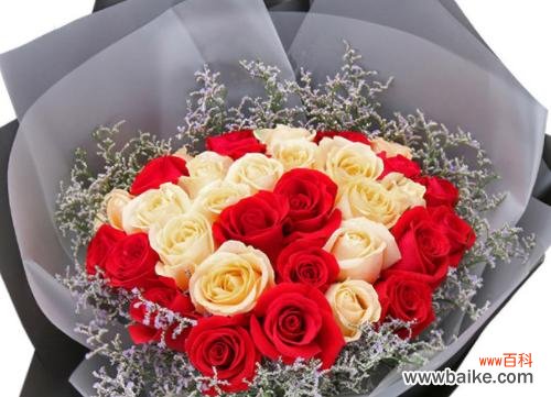 地瓜花象征着什么?它在爱情中的寓意是什么?