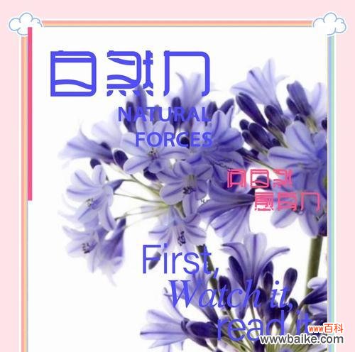 蓝色象征勇气的花有哪些？蓝色象征勇气的花是什么意思？