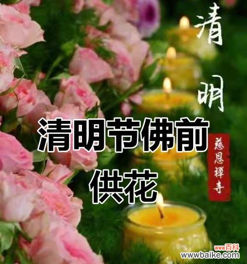 花的寓意祈福是什么？