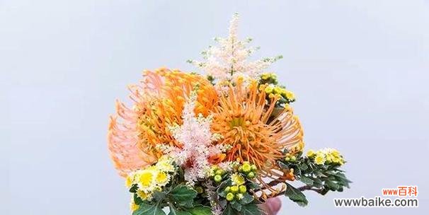 红橙色圆形手捧花代表什么？它的寓意是什么？