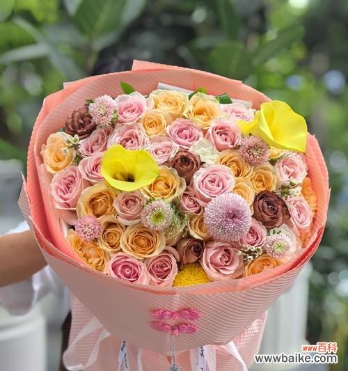 哪种花象征家庭和睦平安?寓意是什么?