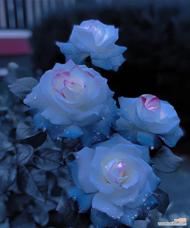 花语大蓝色是什么意思?如何选择寓意好的蓝色花?