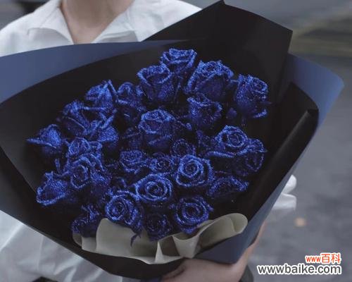 寒冷中的温暖，让冰蓝玫瑰述说希望 冰蓝色玫瑰的花语