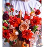 探寻代表中秋的花卉之美 中秋时节的花卉盛景