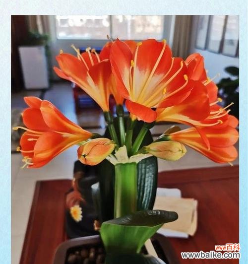 中秋节送什么花有特别含义？如何选择寓意吉祥的花卉？