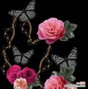 黑色蝴蝶象征哪种花？蝴蝶与花的寓意关系是什么？