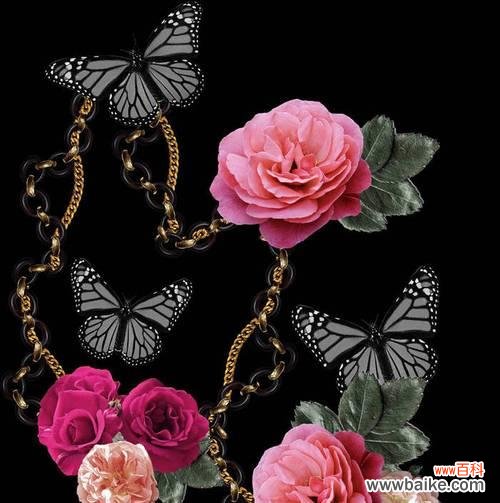 黑色蝴蝶象征哪种花?蝴蝶与花的寓意关系是什么?