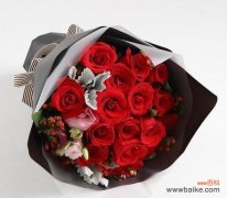 探寻不同朵数玫瑰花所传递的情感与寓意 玫瑰的朵数代表的意思