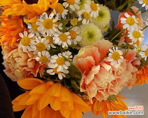 揭示橙色康乃馨所传递的情感和祝福 橙色康乃馨花语的深刻含义