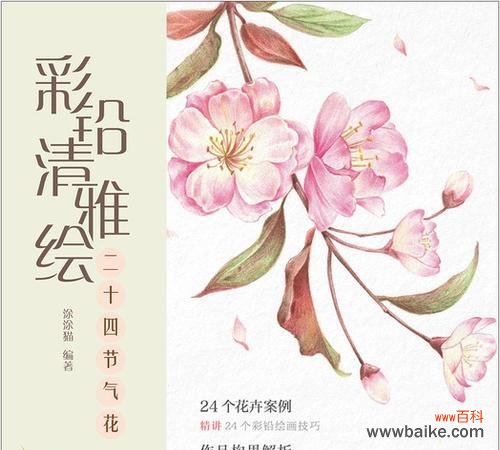 二十四节气花有哪些别名?它们的寓意是什么?