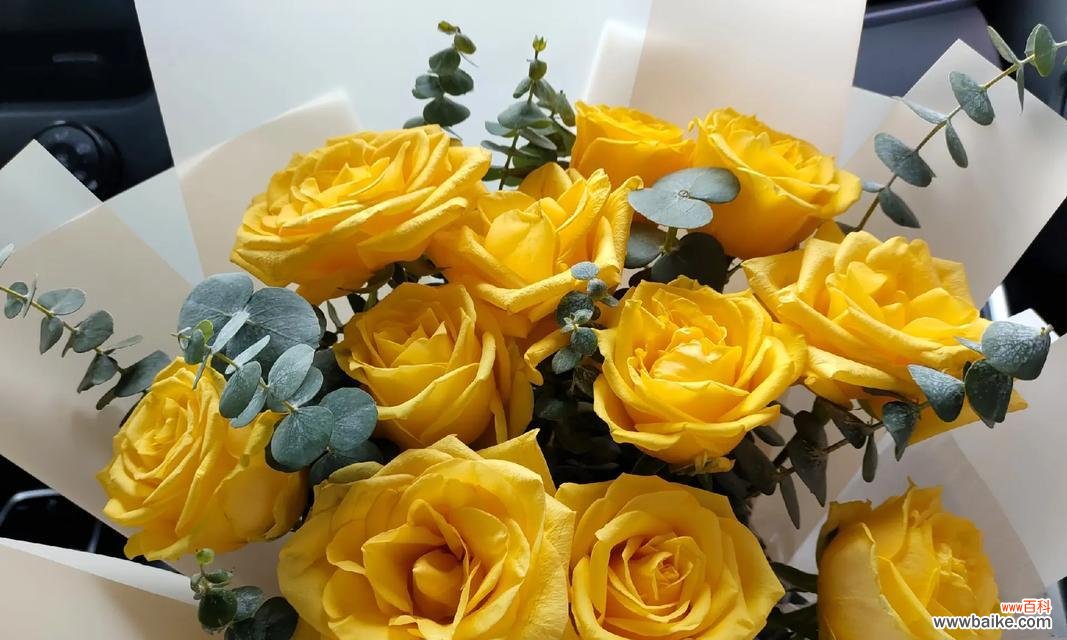 黄色玫瑰花代表什么寓意?送黄色玫瑰有何含义?