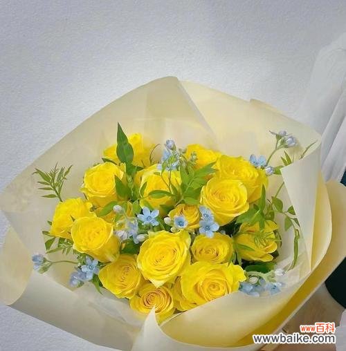 黄色玫瑰花代表什么寓意?送黄色玫瑰有何含义?