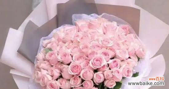 传递浪漫与温柔的花语 粉玫瑰的花语及适合送给的人