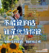 花都花语未删节版有哪些内容？花都花语全集是什么？