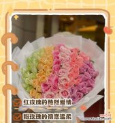 哪种颜色的玫瑰花语代表好运？它的寓意是什么？