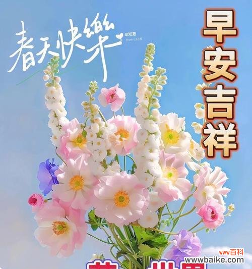 哪种花寓意着平安喜乐?送花时的注意事项是什么?