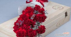 传递热情与爱意的康乃馨之语 大红色康乃馨的花语