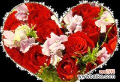 哪些花卉寓意平安健康？送花时如何传递健康祝福？