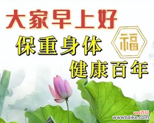 哪些花卉寓意平安健康？送花时如何传递健康祝福？