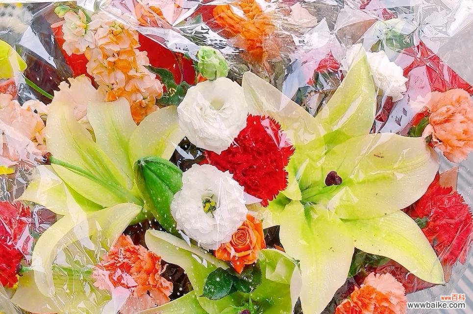 老人间互赠花束有何深意？传统花语有哪些？