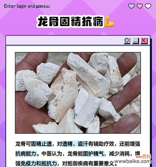 白色龙骨花的寓意是什么?龙骨花有哪些特别的象征意义?